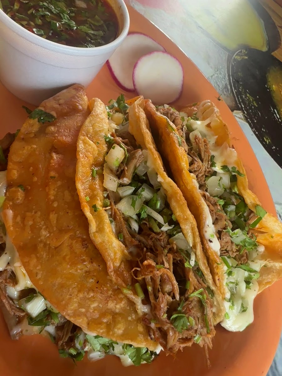 Quesabirria con queso fundido y consomé servido en Tacos El Viejon